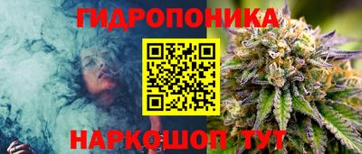 дживик Пенза
