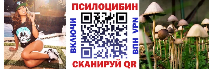 цены наркотик  мега ссылки  Псилоцибиновые грибы MAGIC MUSHROOMS  Хасавюрт 