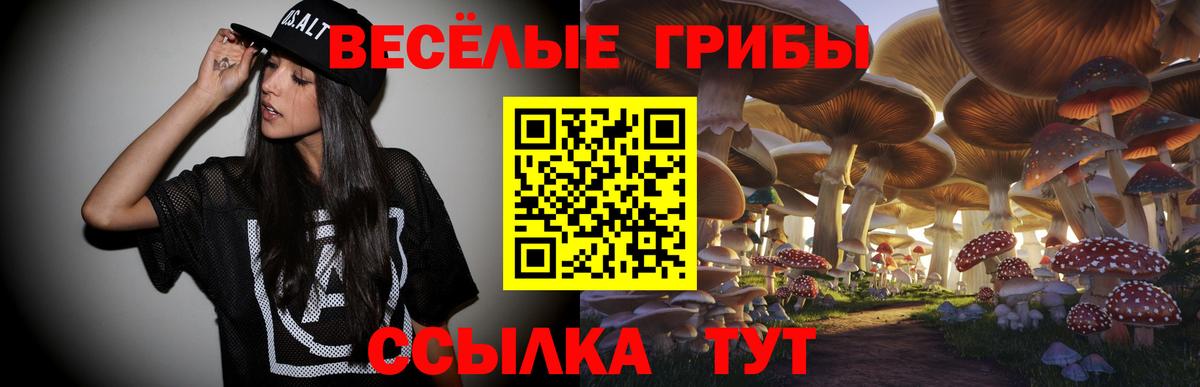 Галлюциногенные грибы мухоморы  Вход с VPN  Хасавюрт 