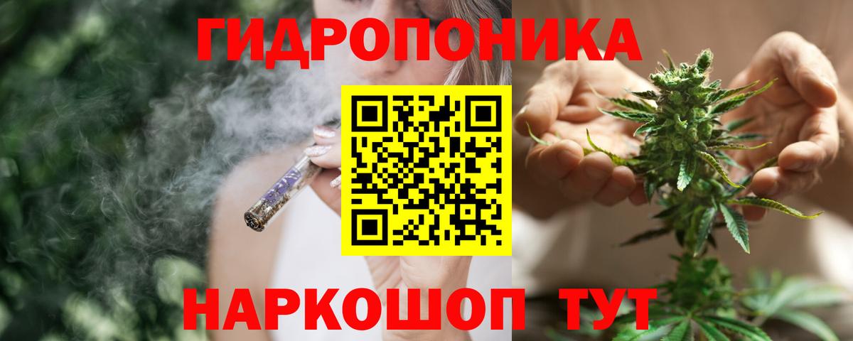 Марихуана SATIVA & INDICA Хасавюрт